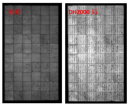 圖13 組件采用VA33含量EVA封裝后，DH2000前后的EL圖
